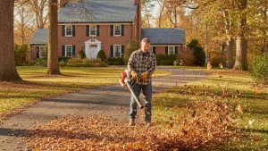 8 Best Websites to Buy Leaf Blowers in 2026 (Ranked)